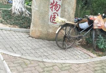 东莞虎英郊野公园第 6 张图片
