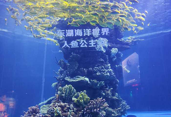 武汉东湖海洋世界第 40 张图片