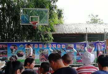 青瓦房古村落第 20 张图片