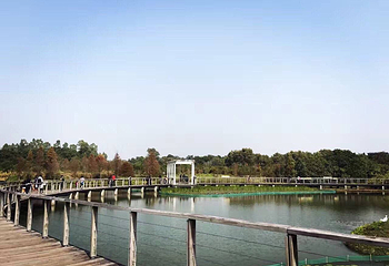 香港湿地公园第 30 张图片