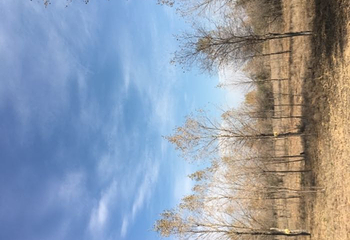 七星湖沙漠生态旅游区第 65 张图片