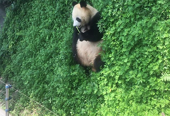 仙芝竹尖生态园第 9 张图片