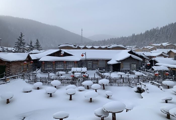 雪乡国家森林公园第 43 张图片