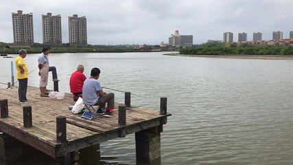富力红树湾湿地公园第 34 张图片