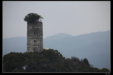 瓯江第 11 张图片
