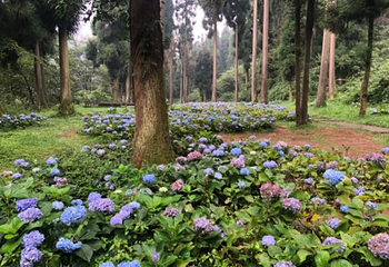 成都天台山旅游景区第 58 张图片