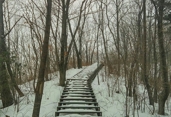 雅旺斯滑雪场第 27 张图片