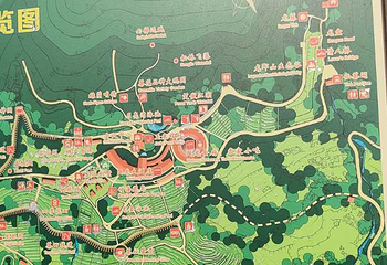 雁南飞茶田景区第 58 张图片