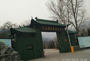 牛山国家森林公园第 18 张图片
