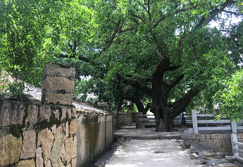 大京沙滩第 29 张图片