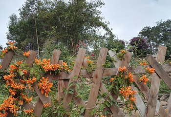 南宁花雨湖生态休闲旅游区第 33 张图片