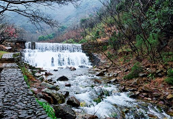 九峰山网岙景区第 6 张图片