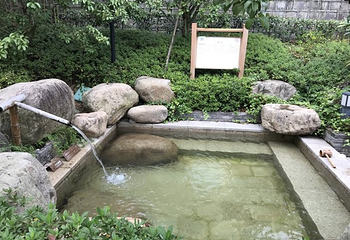 二灵山温泉第 50 张图片