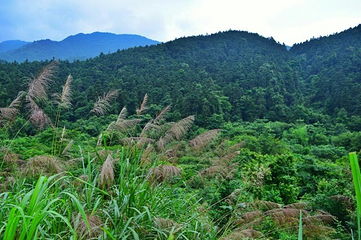 温州瑞安圣井山第 9 张图片