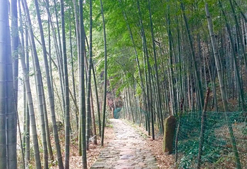 红石谷风景区第 11 张图片