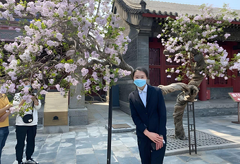 张学良旧居第 323 张图片
