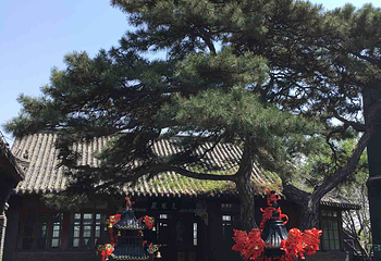 铁岭龙山第 9 张图片