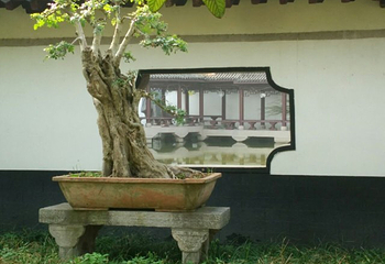 九老仙都景区第 28 张图片