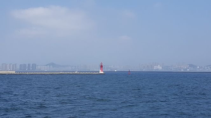 大连东港帆船航海第 16 张图片