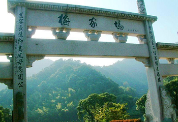 梅家坞茶文化村第 4 张图片