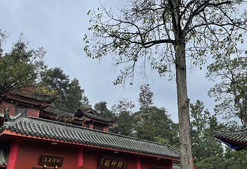 弘福寺第 9 张图片