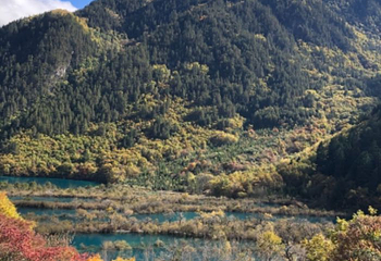 扎如沟第 8 张图片