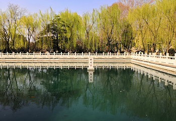珍珠泉第 26 张图片