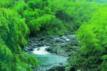浙东大竹海景区第 26 张图片