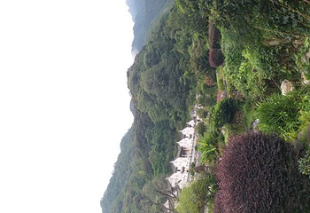 雁南飞茶田景区第 50 张图片