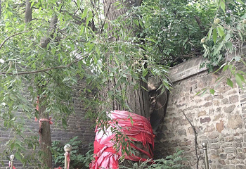 清风寺第 8 张图片