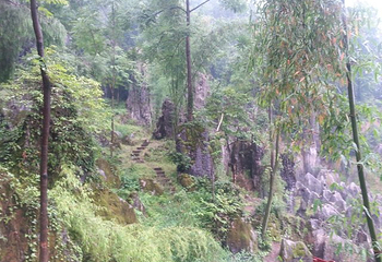 思南石林风景区第 8 张图片