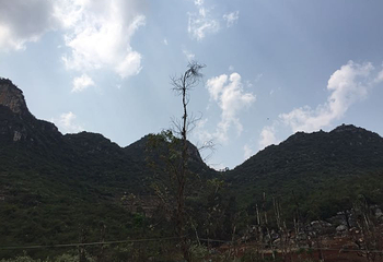 西华公园第 5 张图片