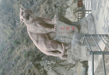 纳帕海(依拉草原)第 49 张图片
