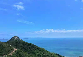 杨梅坑第 54 张图片