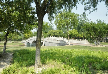 金仓湖第 21 张图片