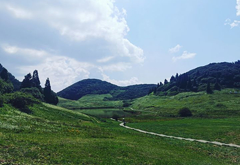 金佛山第 171 张图片