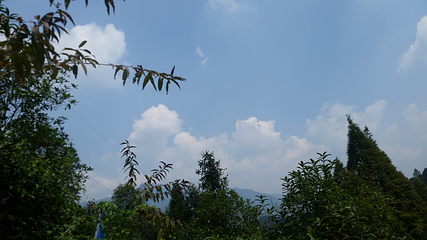 茶溪谷第 93 张图片