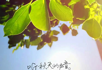 大同I Do梦想城儿童职业体验馆第 2 张图片