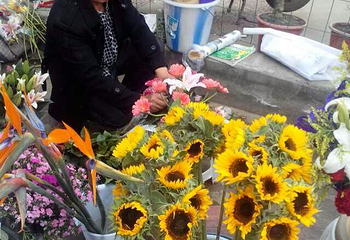 佳盟花卉市场第 7 张图片
