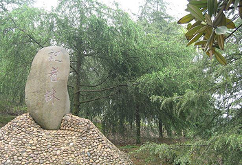 成都武侯祠博物馆-南郊公园第 12 张图片