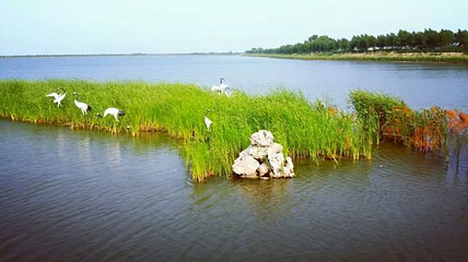 大安嫩江湾旅游区第 9 张图片