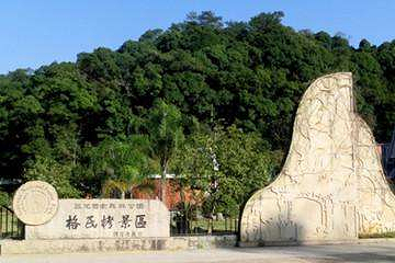 三元格氏栲第 23 张图片