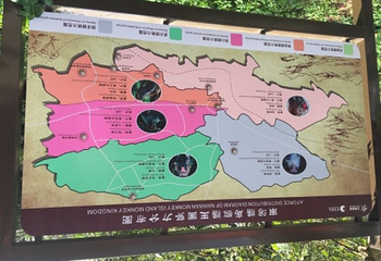 海棠广场第 41 张图片