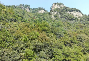 屏岩洞府第 27 张图片