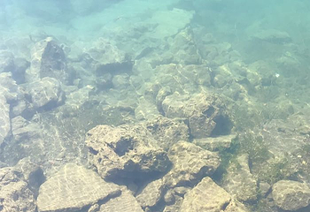吉林龙湾景区第 45 张图片