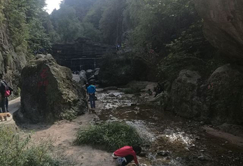 养子沟第 40 张图片