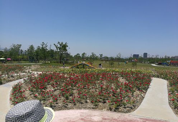 智慧花乐园第 4 张图片