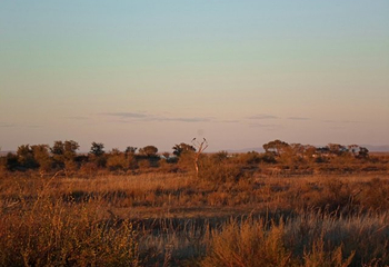 达里湖南岸景区第 21 张图片