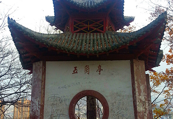玉皇山公园第 17 张图片