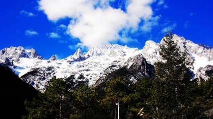 玉龙雪山第 329 张图片